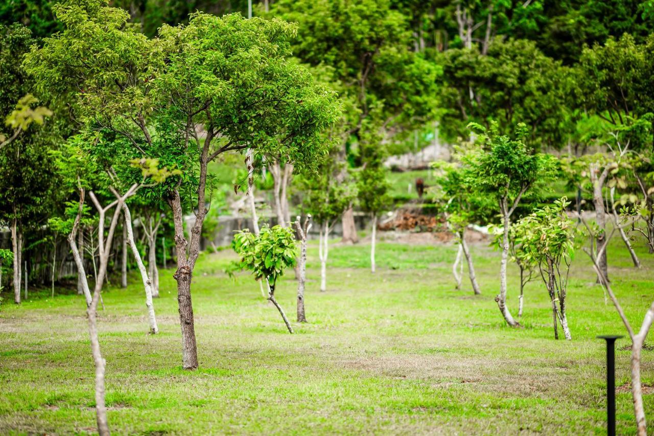 Dream Field Daire Luye Dış mekan fotoğraf